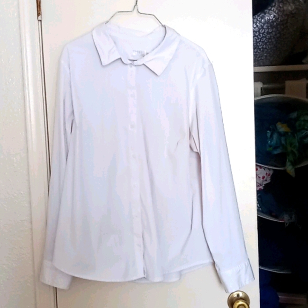 Button Down Shirts